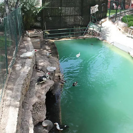 Bonito Piso Benidorm Levante Extérieur photo